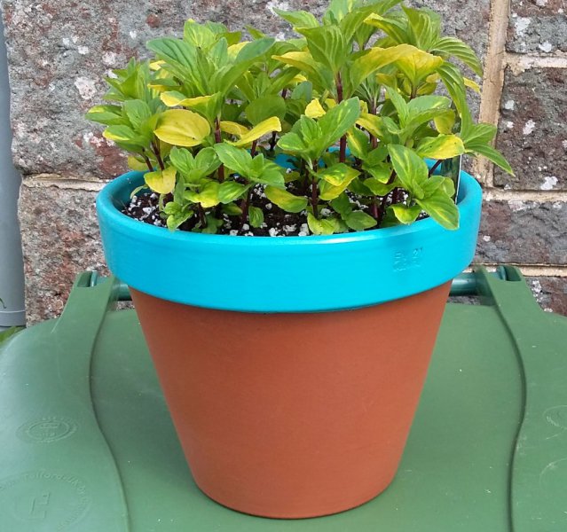 2015-05-08 11.40.14.jpg