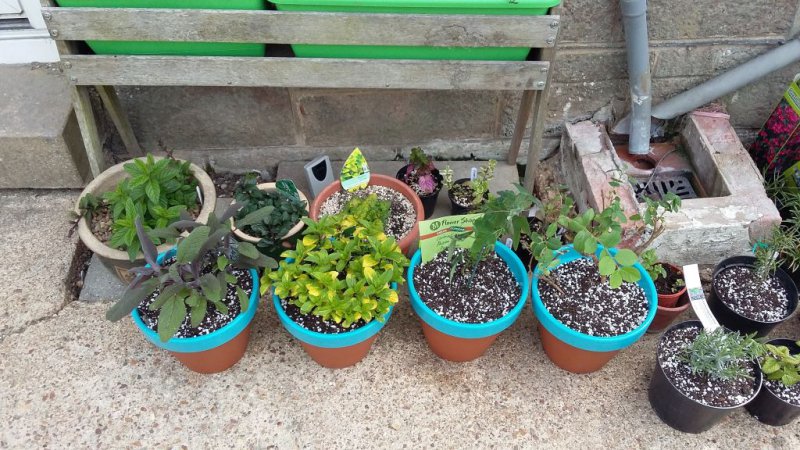 2015-05-08 11.40.58.jpg