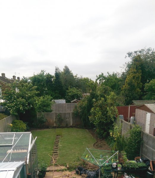 2015-05-23 15.52.32.jpg