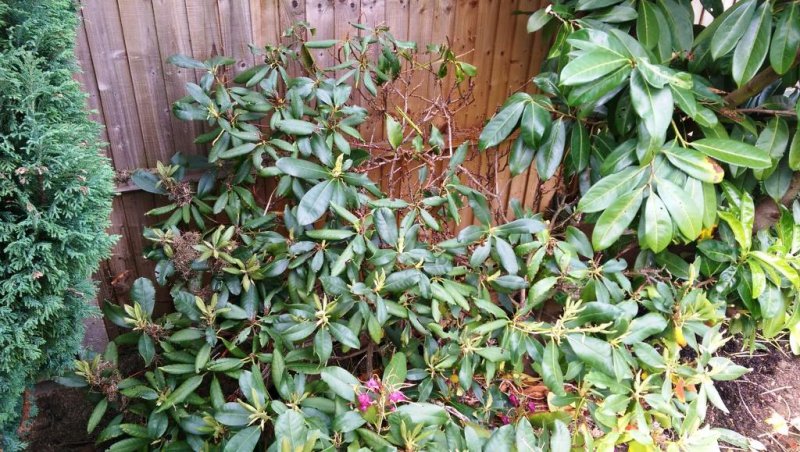 2015-06-08 16.47.08.jpg