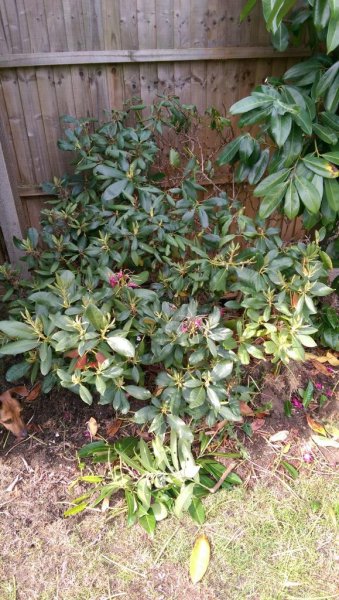 2015-06-08 16.47.21.jpg