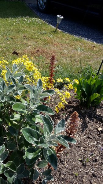 2015-07-01 15.08.10.jpg