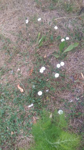 2015-07-02 10.07.21.jpg