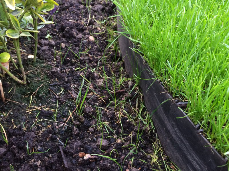 2015-07-23 06.40.47.jpg