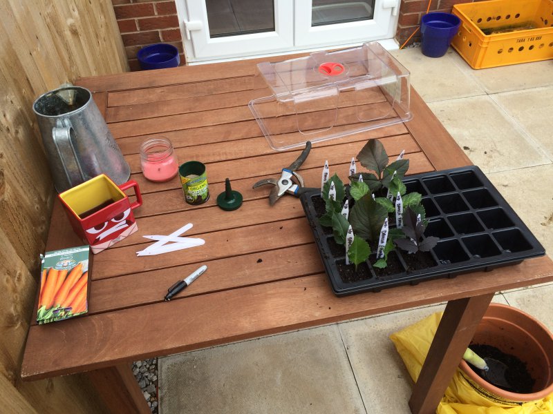 2015-08-02 16.30.25.jpg