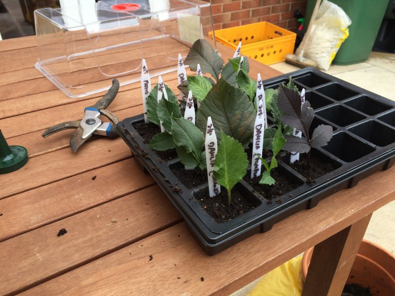 2015-08-02 16.30.29.jpg