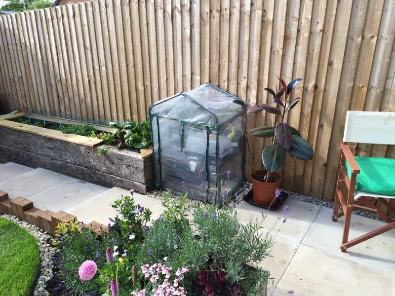 2015-08-02 17.42.00.jpg