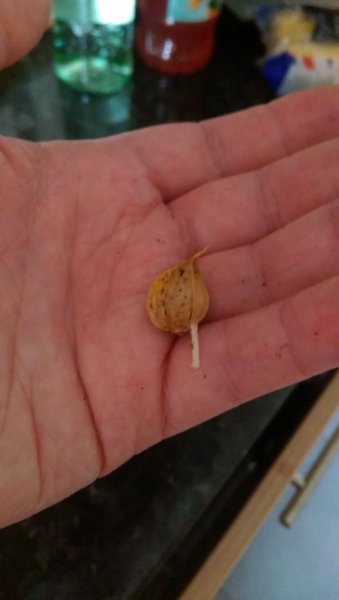 2015-10-11 17.46.11-1.jpg