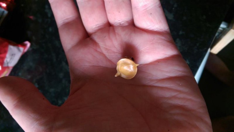 2015-10-11 17.46.55.jpg