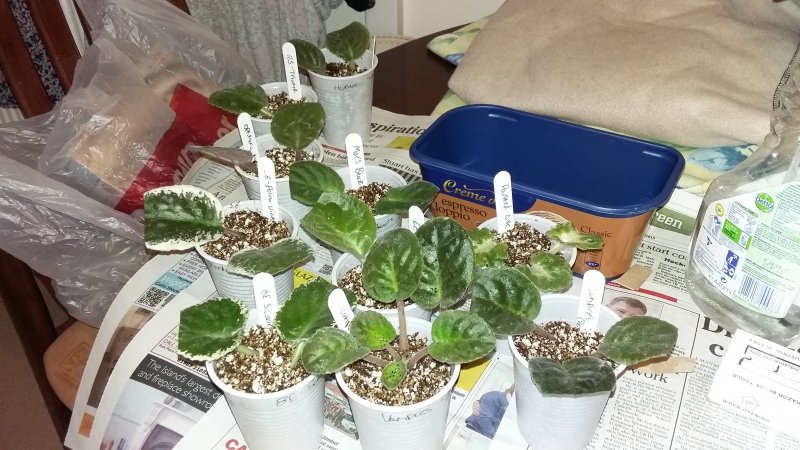 2015-10-24 20.45.28.jpg