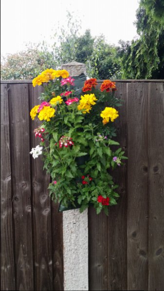 20150628_114436 (1).jpg