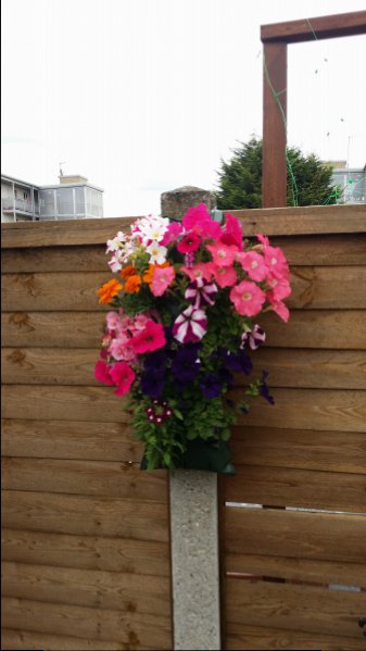 20150628_114455 (1).jpg