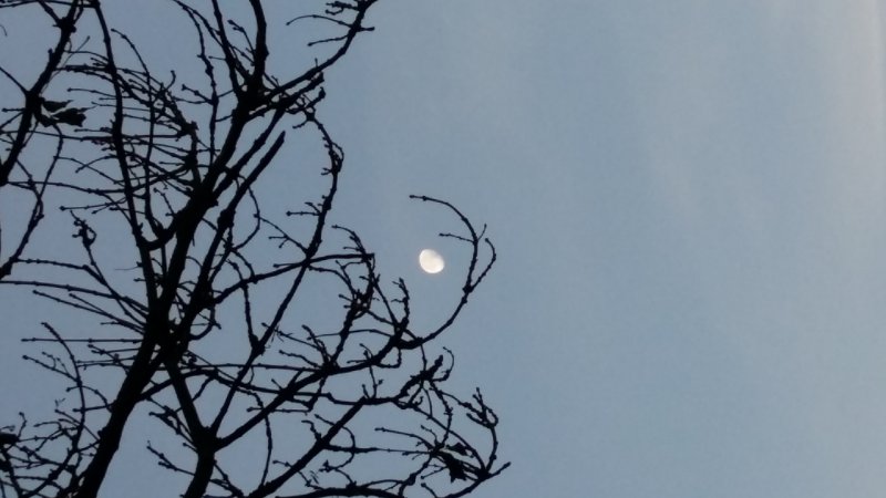 20151031_065751 (1280x720).jpg