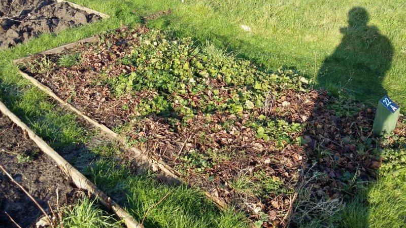 2016-01-20 10.47.43.jpg