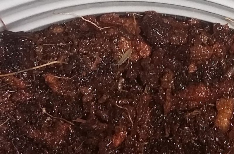 2016-01-29 21.06.48.jpg