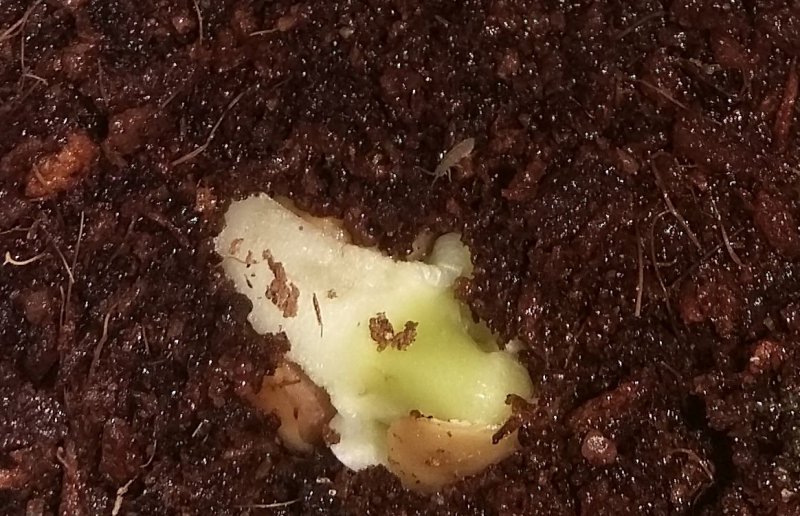 2016-01-29 21.06.58.jpg