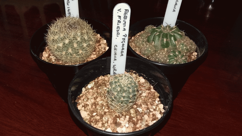 2016-04-15 17.52.06.gif