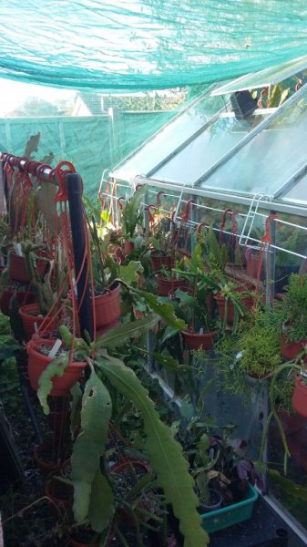 2016-04-20 08.11.52.jpg