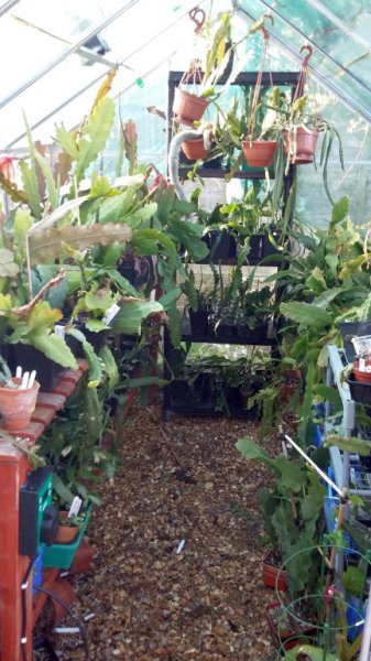 2016-04-20 08.12.25.jpg