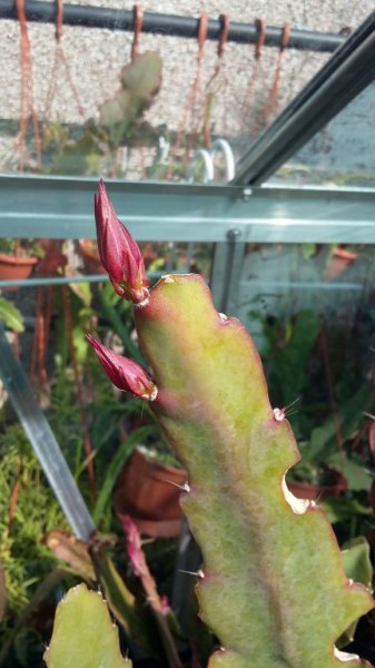 2016-04-20 16.01.16.jpg