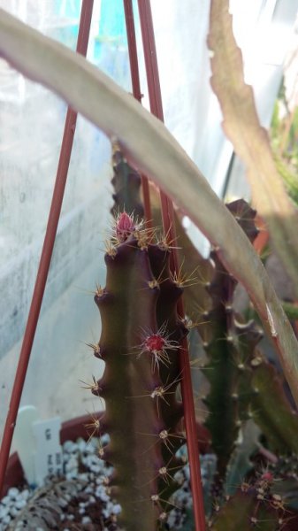 2016-04-20 16.02.56.jpg