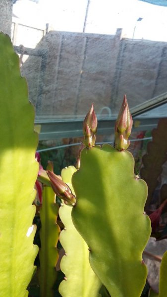 2016-04-20 16.03.17.jpg