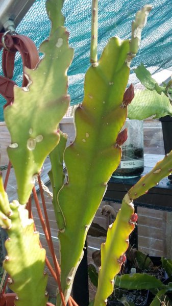 2016-04-20 16.04.18.jpg