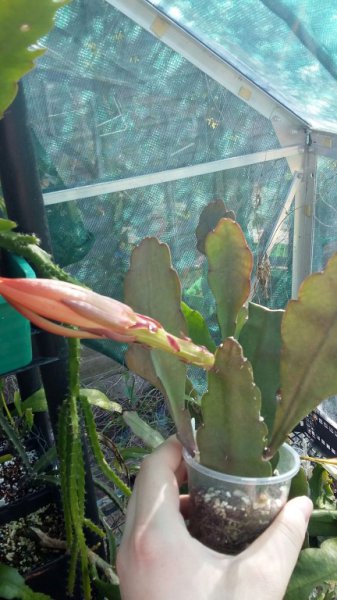 2016-04-20 16.05.40.jpg