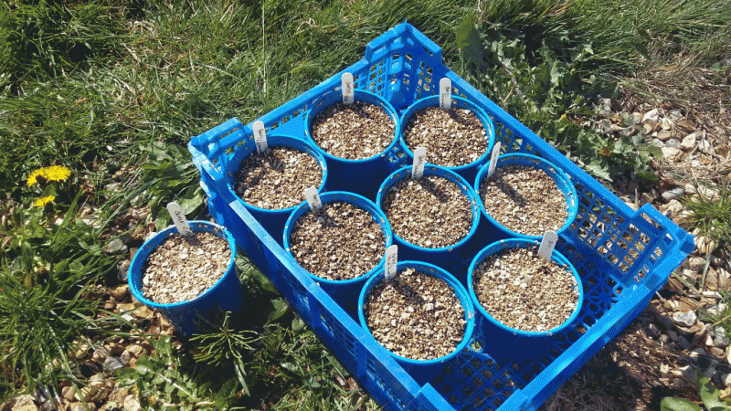 2016-04-28 12.18.43.gif