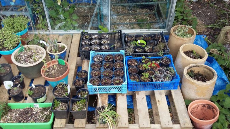 2016-04-29 17.36.42.jpg