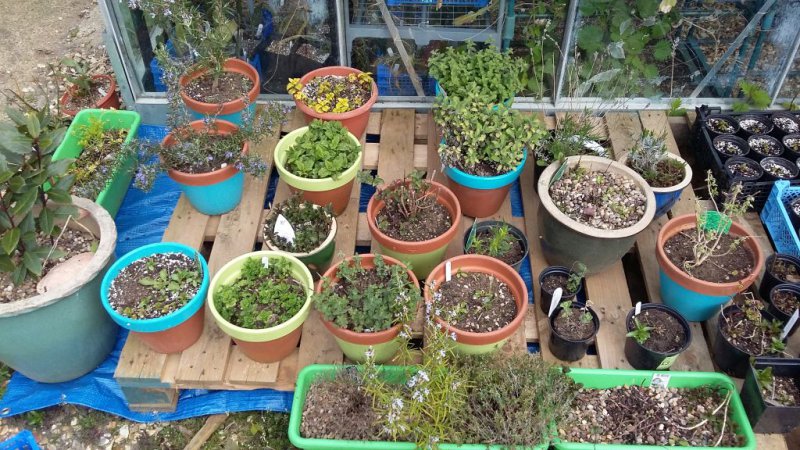 2016-04-29 17.36.49.jpg