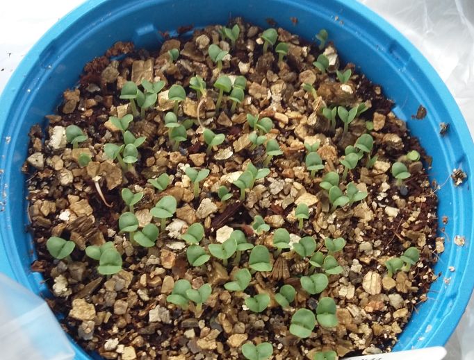 2016-05-01 17.06.05.jpg