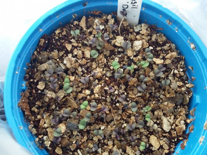 2016-05-01 17.06.22.jpg