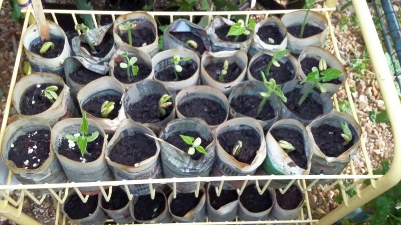 2016-05-28 20.15.21.jpg