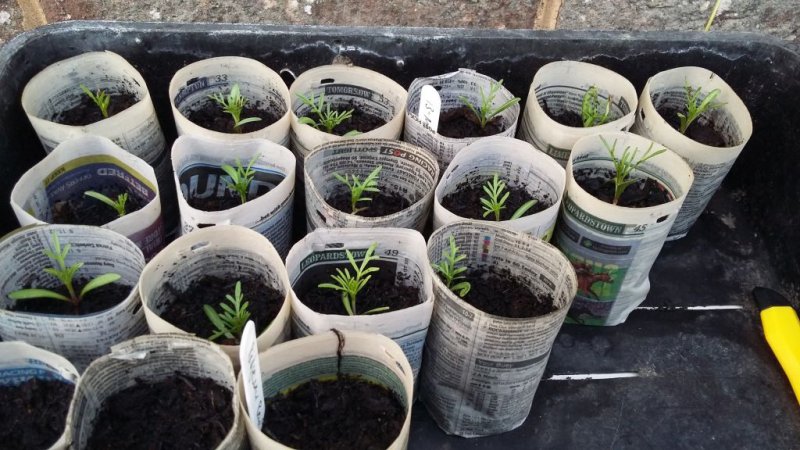 2016-05-28 20.18.11.jpg