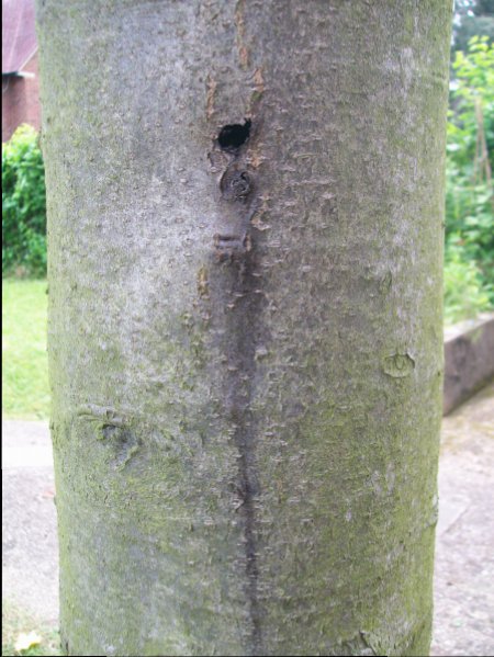 2016-06-08 12.08.35.jpg