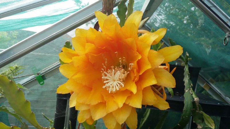 2016-06-10 09.48.52.jpg