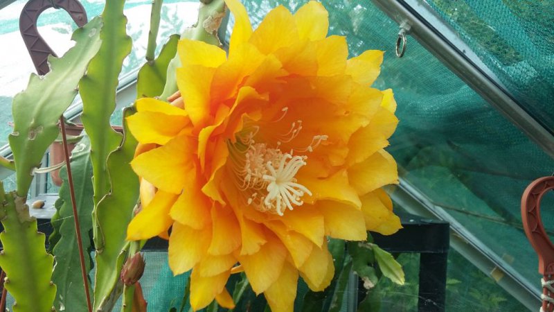 2016-06-10 09.49.06.jpg