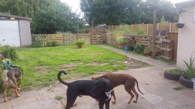 2016-07-20 09.16.08.jpg