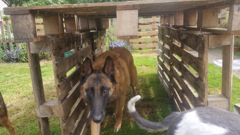 2016-07-22 10.21.11.jpg