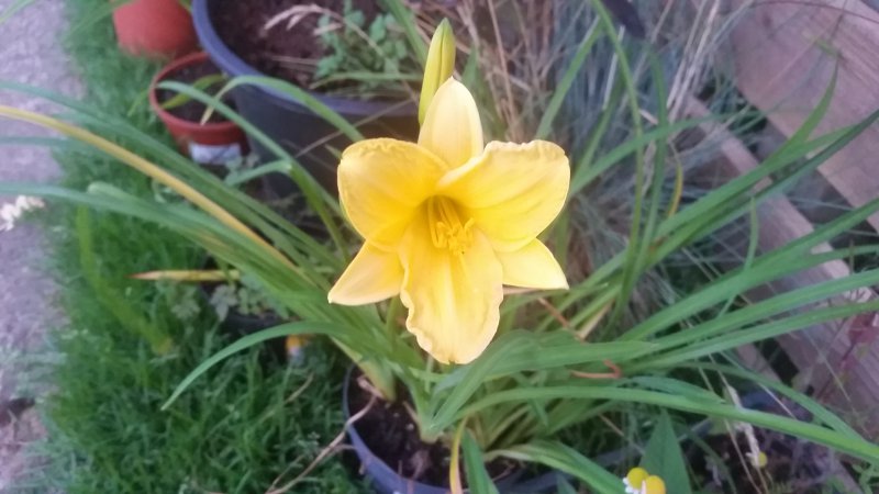 2016-07-30 21.02.24.jpg