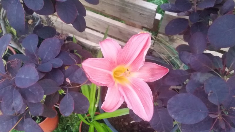 2016-07-30 21.02.29.jpg