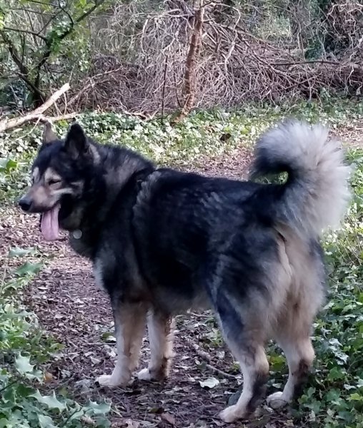 20160224_121212 (867x1024).jpg