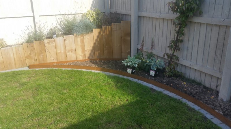 20160907_164217 (Medium).jpg