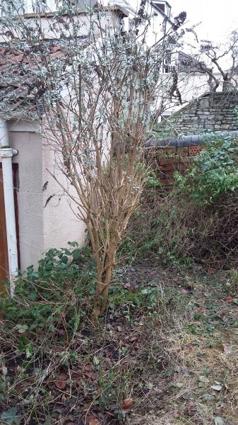 2017-01-10 12.56.06.jpg