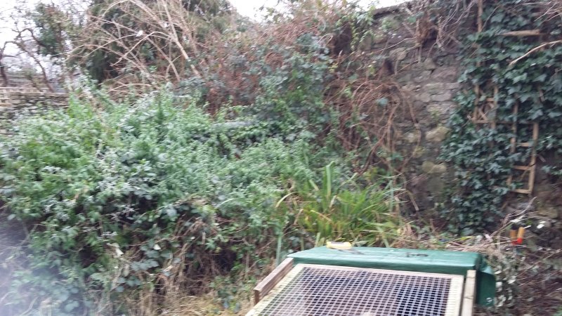 2017-01-10 12.56.13.jpg