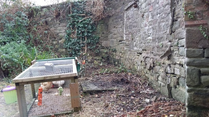 2017-01-10 12.56.22.jpg