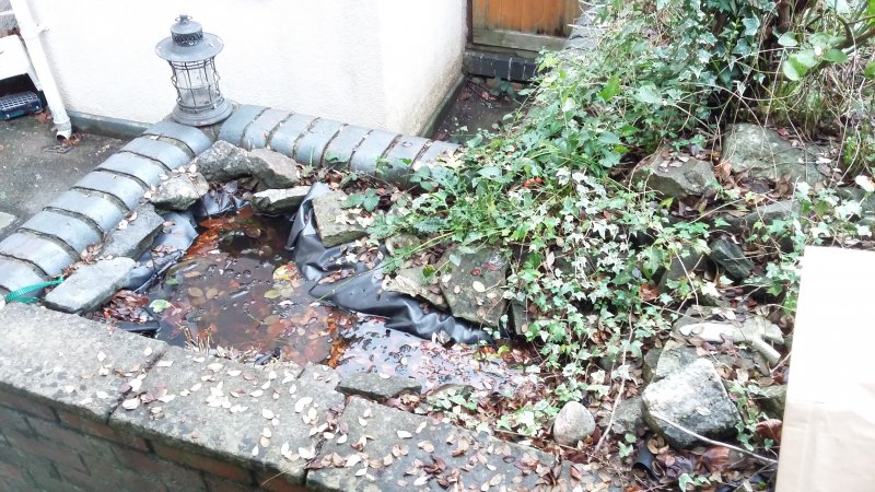 2017-01-10 12.56.38.jpg