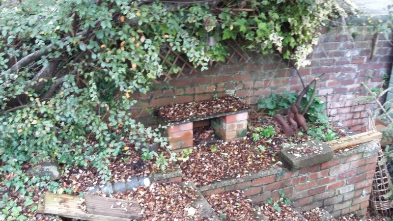 2017-01-10 14.52.06.jpg