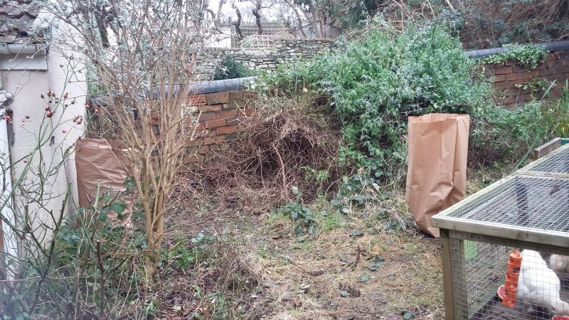 2017-01-14 12.25.36.jpg